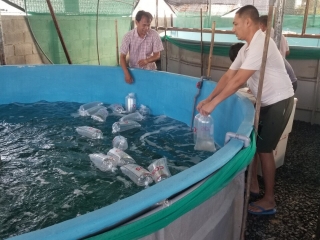 Mô Hình nuôi tôm tuần hoàn nước của Công Ty Cos Việt Nam